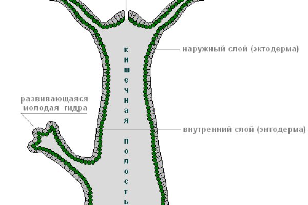 Как зайти на кракен через браузер