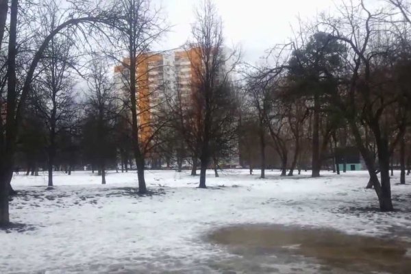 Кракен 16 вход
